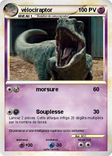 Pokemon vélociraptor