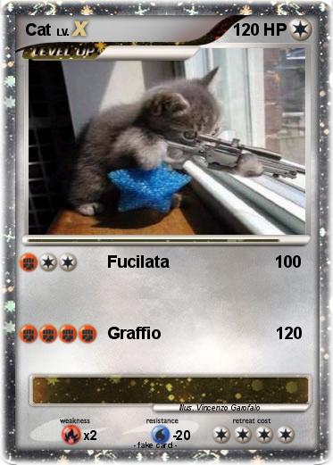 Pokemon Cat