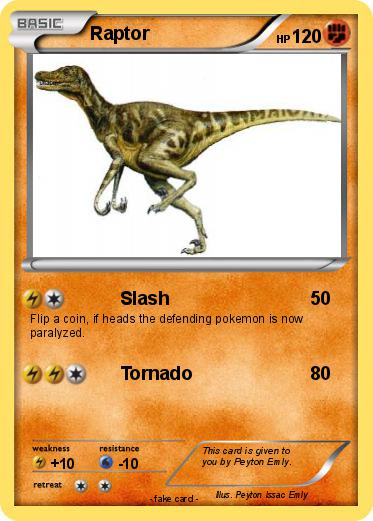 Pokemon Raptor