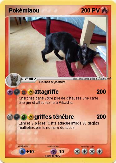Pokemon Pokémiaou