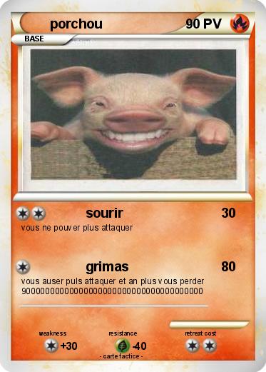 Pokemon porchou
