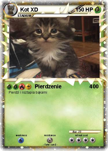 Pokemon Kot XD