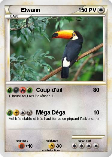 Pokemon Elwann