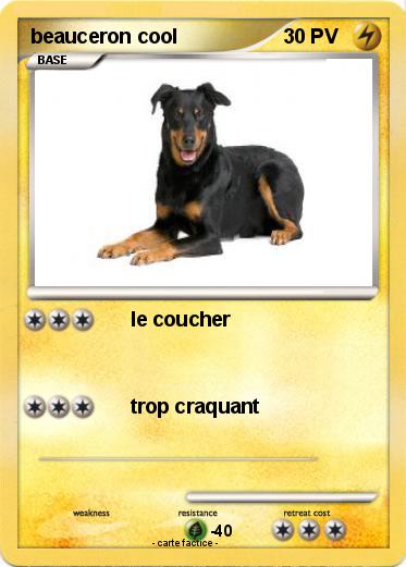 Pokemon beauceron cool