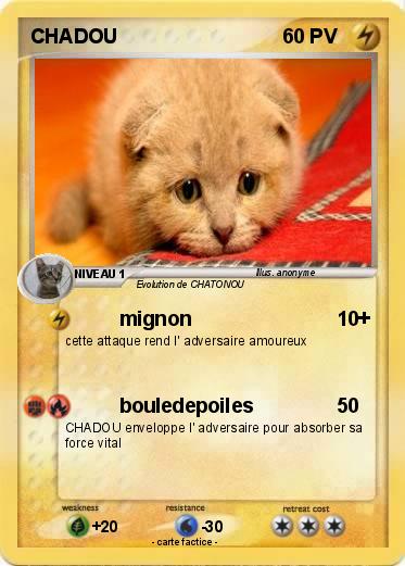 Pokemon CHADOU