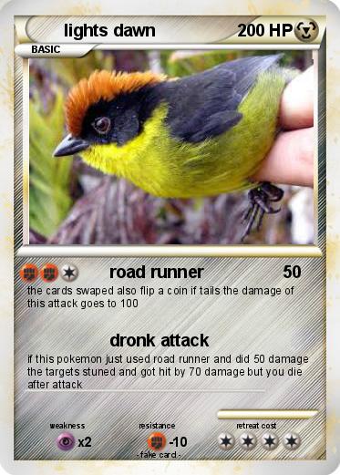 Pokemon lights dawn