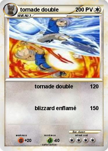 Pokemon tornade double