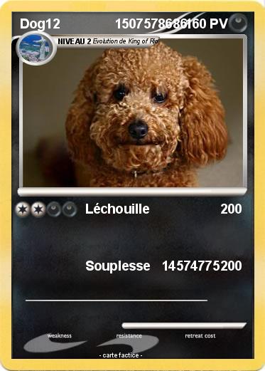 Pokemon Dog12               1507578686