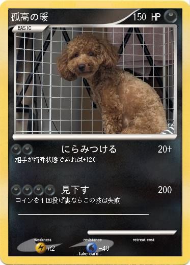 Pokemon 孤高の暖