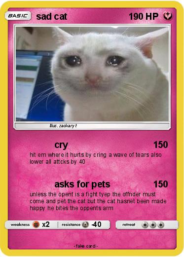 Pokemon sad cat
