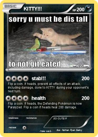Pokemon KITTY!!!