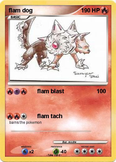 Pokemon flam dog