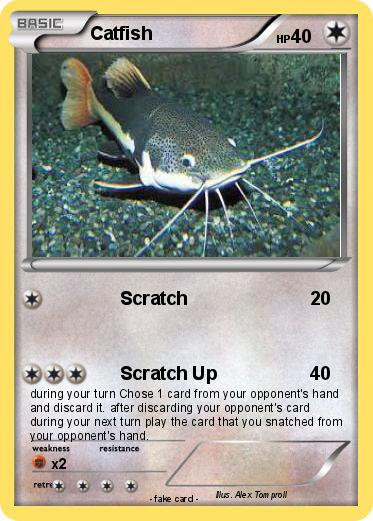 Pokemon Catfish