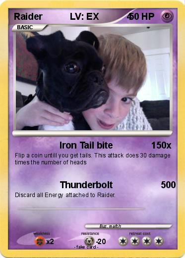 Pokemon Raider           LV: EX           4
