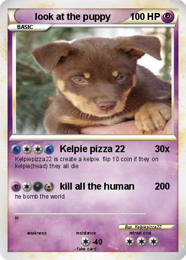 Pokemon look at the puppy