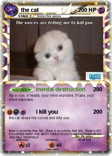 Pokemon the cat