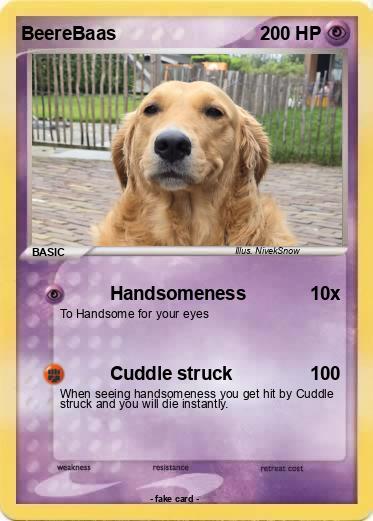 Pokemon BeereBaas