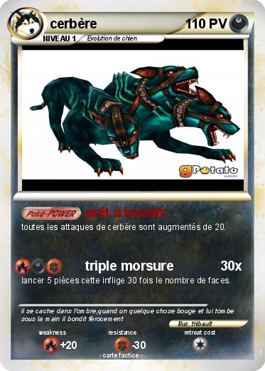 Pokemon cerbère
