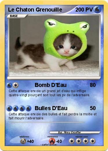 Pokemon Le Chaton Grenouille