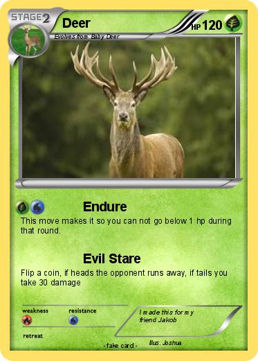 Pokemon Deer