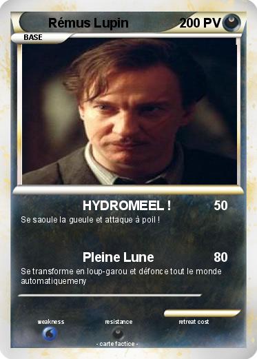 Pokemon Rémus Lupin