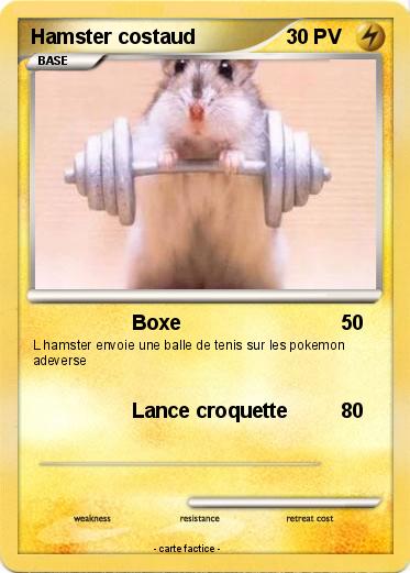 Pokemon Hamster costaud