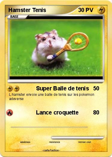 Pokemon Hamster Tenis
