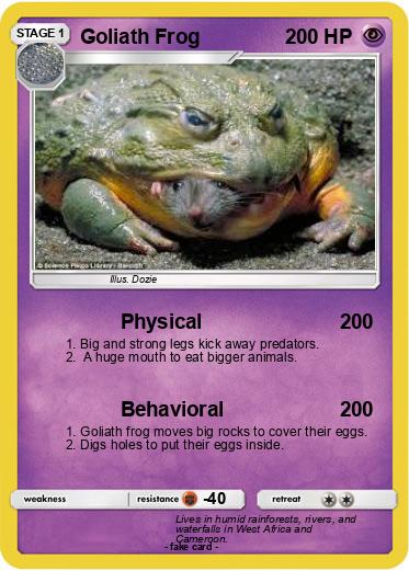 Pokemon Goliath Frog