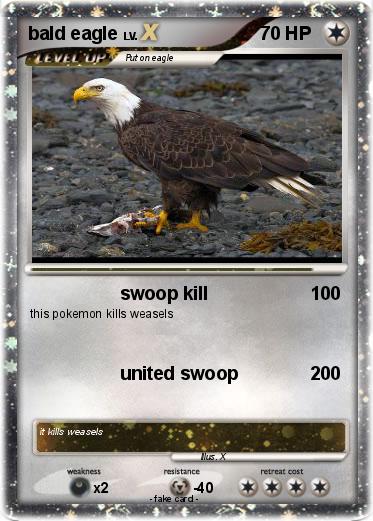 Pokemon bald eagle