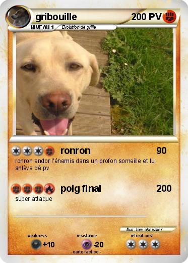 Pokemon gribouille