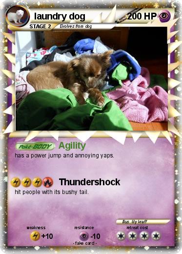 Pokemon laundry dog