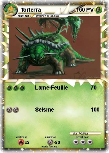 Pokemon Torterra