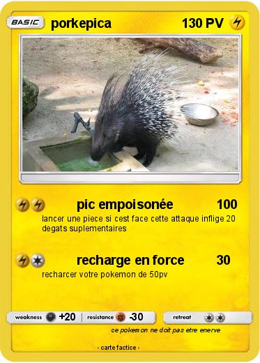 Pokemon porkepica