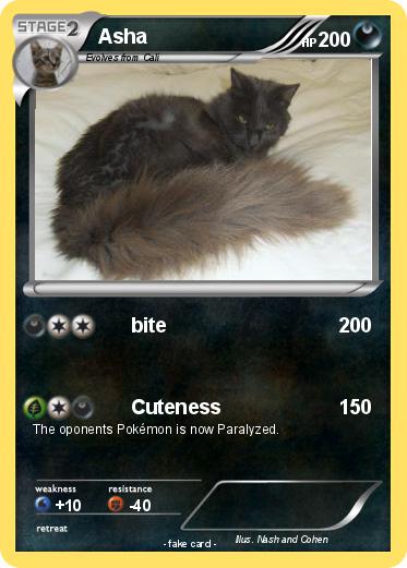 Pokemon Asha