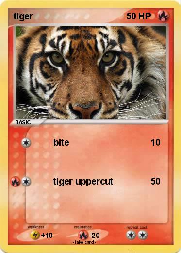 Pokemon tiger
