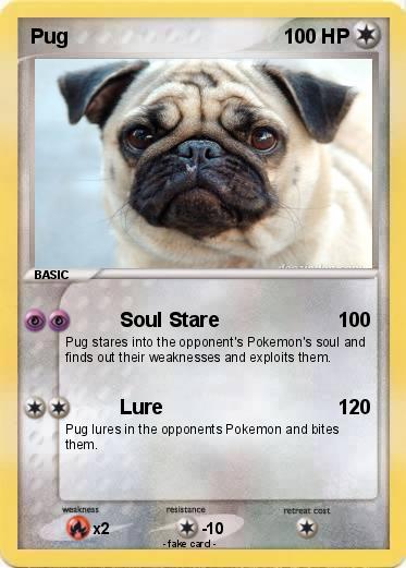 Pokemon Pug
