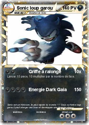 Pokemon Sonic loup garou