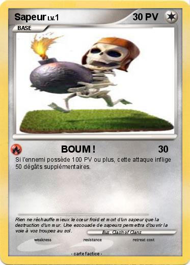 Pokemon Sapeur