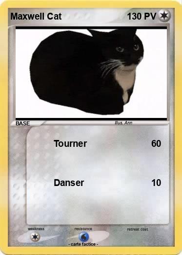 Pokemon Maxwell Cat