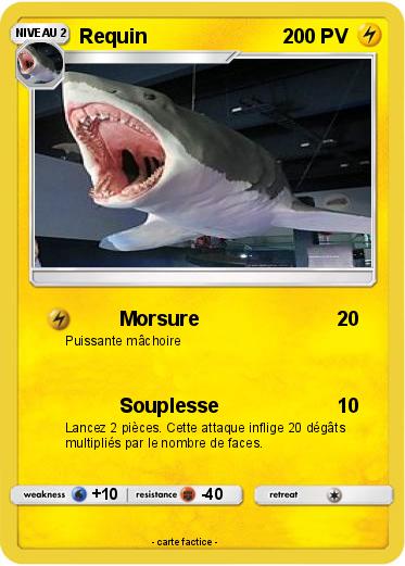 Pokemon Requin