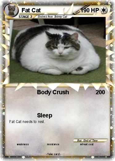 Pokemon Fat Cat