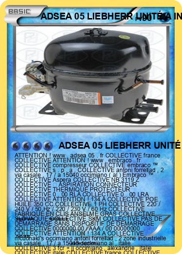 Pokemon ADSEA 05 LIEBHERR UNITÉ A INTERNAT IME FRANCE