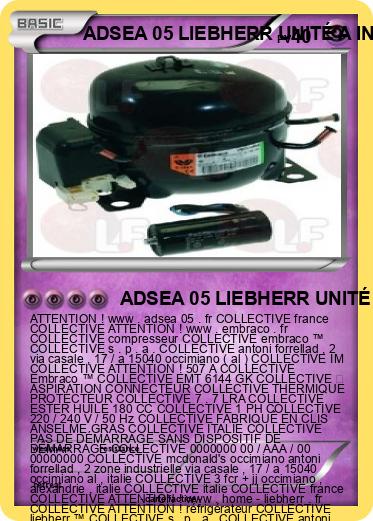 Pokemon ADSEA 05 LIEBHERR UNITÉ A INTERNAT IME FRANCE