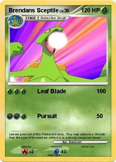 Pokemon Brendans Sceptile