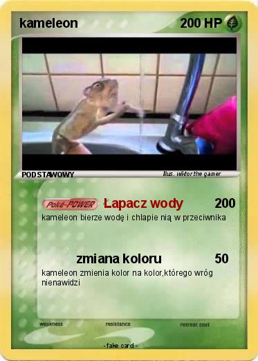 Pokemon kameleon