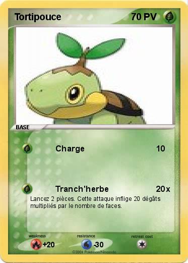 Pokemon Tortipouce