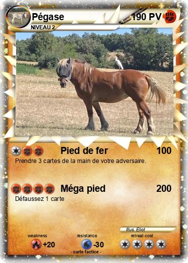 Pokemon Pégase