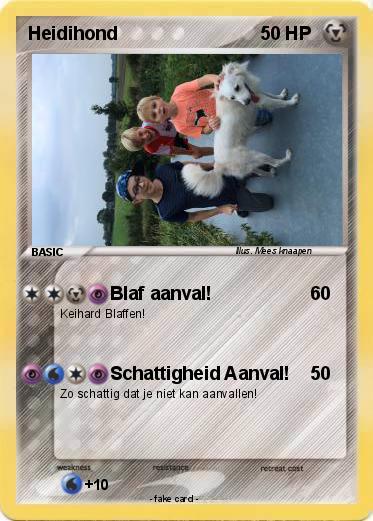 Pokemon Heidihond