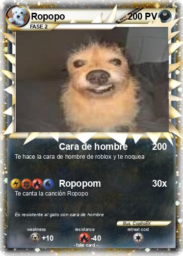 Pokemon Ropopo