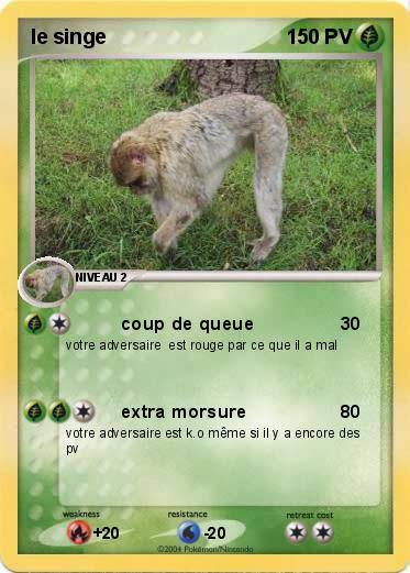 Pokemon le singe